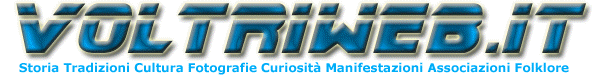VoltriWeb