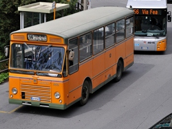 Menarini Monocar 1231 con gruppi meccanici FIAT 409A